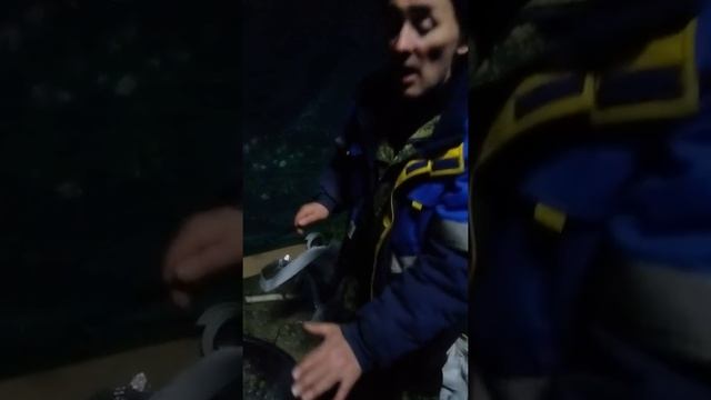 Как пожарить грибы