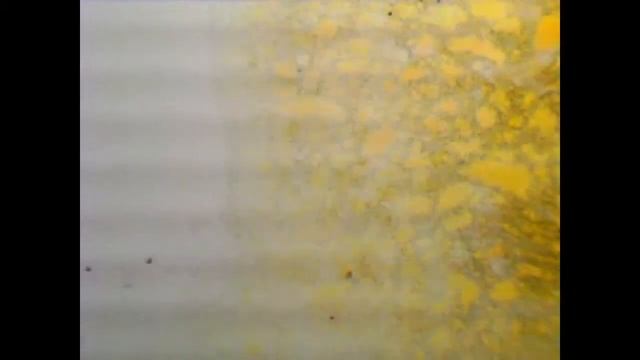 Honeydew Extraction from and Aphid [Aphis gossypii] смотреть онлайн