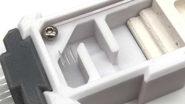 Ant Space | Queen Ant Formicarium Module смотреть онлайн