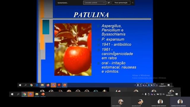 Micotoxinas