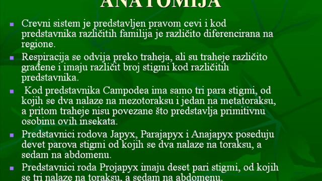 Stefan Luketa - Red Diplura смотреть онлайн