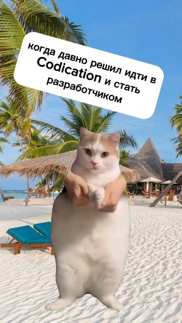 Когда отправляют во взрослую жизнь #itкурсы #обучение смотреть онлайн