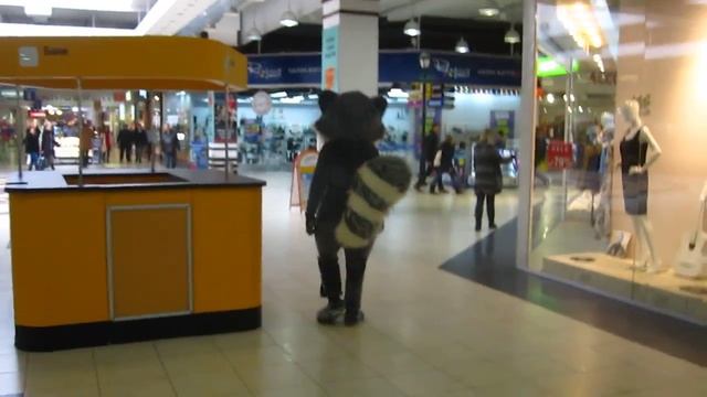 Херсон, енот на Фабрике :) смотреть онлайн