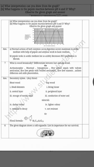 class 11 biology||question paper||sample paper||set 5 смотреть онлайн