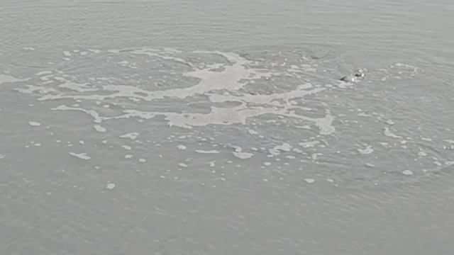 Curative sulfur lake/Müalicəvi kükürdlü göl/Лечебное серное озеро/Şifalı kükürt gölü смотреть онлайн