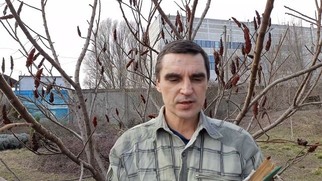 Пустотов мост смотреть онлайн