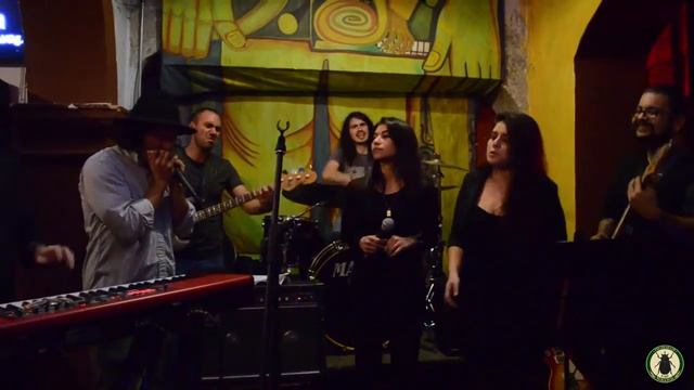 Los Albinos en el Escarabajo Scratch смотреть онлайн