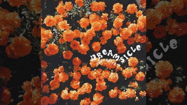 Why The Face смотреть онлайн