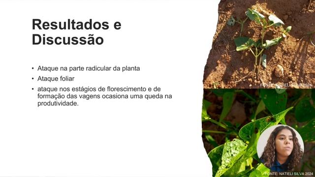DANOS E CONTROLE DA VAQUINHA (Diabrotica speciosa, Cerotoma arcuata) NA CULTURA DO FEIJÃO смотреть онлайн