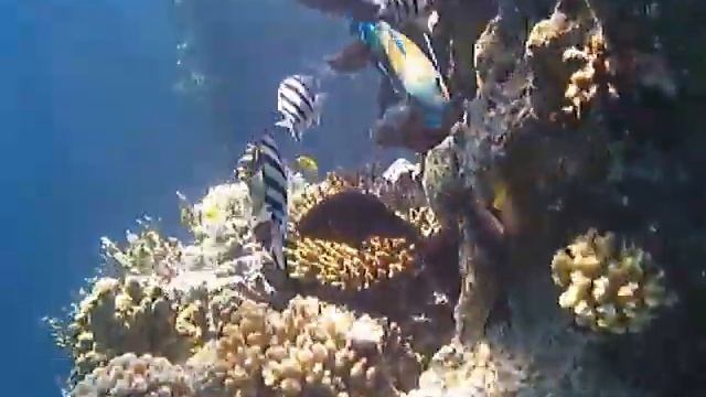Красное море смотреть онлайн