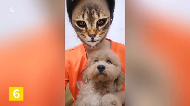 Top 15 Funniest Filters | The Best Filter Reactions смотреть онлайн