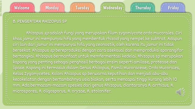 Pemanfaatan Rhizopus spp dalam Fermentasi di Industri Tempe смотреть онлайн