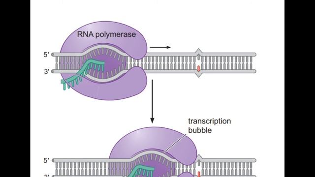 NER & MMR смотреть онлайн