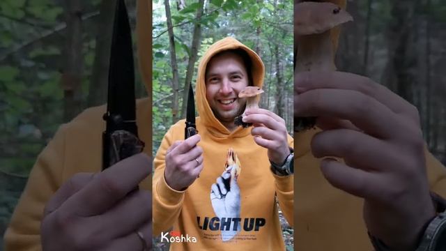 Грибной сезон смотреть онлайн