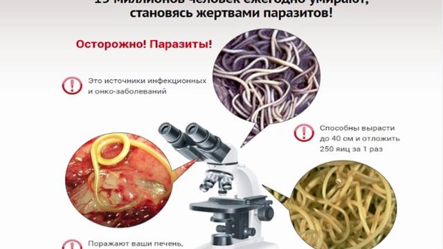 Интоксик купить в Москве