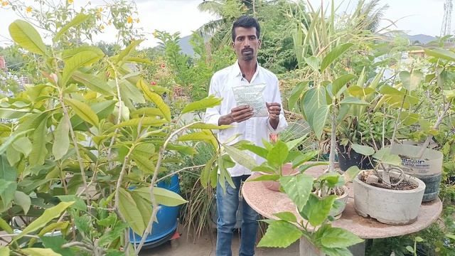 Trichoderma Viride || ఎండు తెగులు, వేరుకుళ్లు తెగుళ్లను  అరికట్టటానికి ట్రైకోడెర్మావిరిడి వాడండి