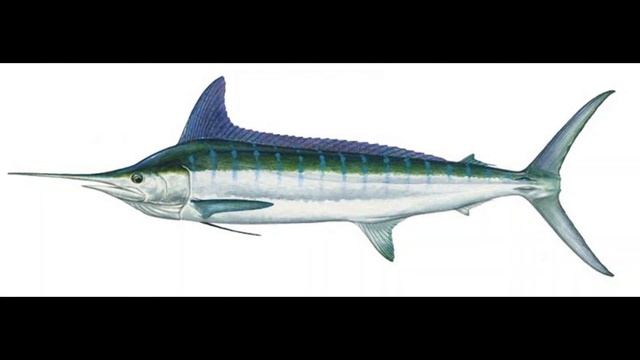 Марлин (Marlin) смотреть онлайн