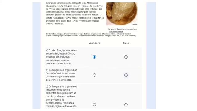Aula nº17- Biologia- Professora Susanne, 2ª série –CORREÇÃO DAS ATIVIDADES REVISIONAIS смотреть онлайн