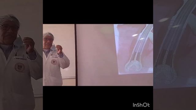 clase teórica de histología 28 de junio de 2024. смотреть онлайн