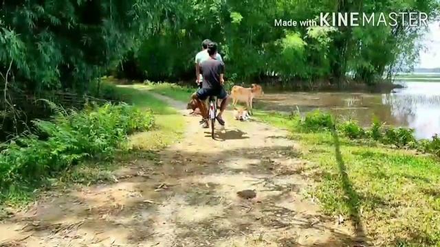 Surok pale mure....... Assamese short movie смотреть онлайн