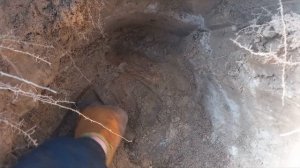 Весенний КоП на ферме 2024!