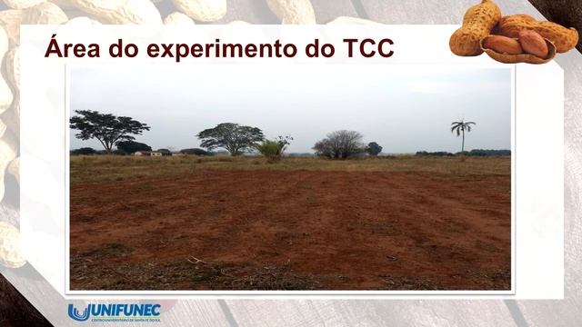 Trabalho de Amendoim - Plantas daninhas e Herbicidas смотреть онлайн