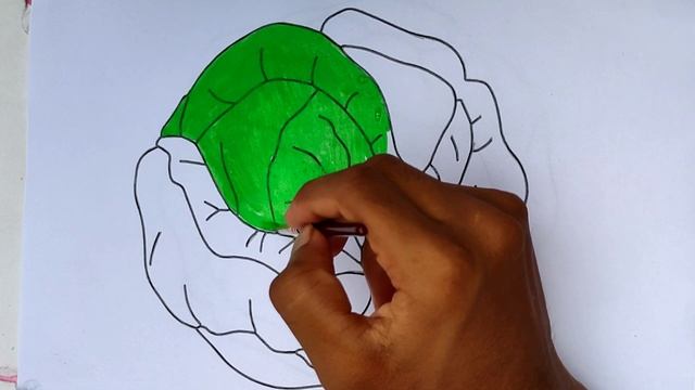 How to Draw a cabbage for very simple and easy drawing || Arya Drawing Art || смотреть онлайн