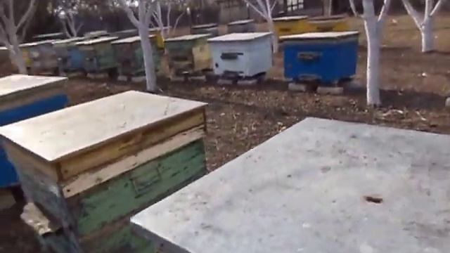 Первый облет пчел . смотреть онлайн