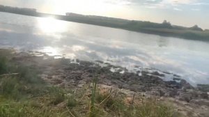 РЫБАЛКА НА МЕГАЛОДОНА / мы его поймали ?..