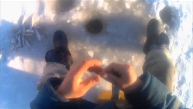 дикий клёв раздача плотвы , клёв как с пулемета 2021 , часть 1 смотреть онлайн