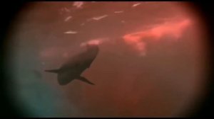 Sea Monsters [2004] - Squalicorax Screen Time