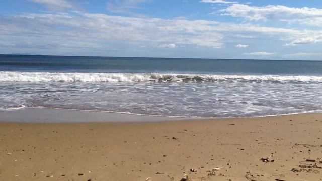 Заготовка на зиму