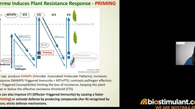 Prof. Woo Webinar 11.18.20 FINAL смотреть онлайн
