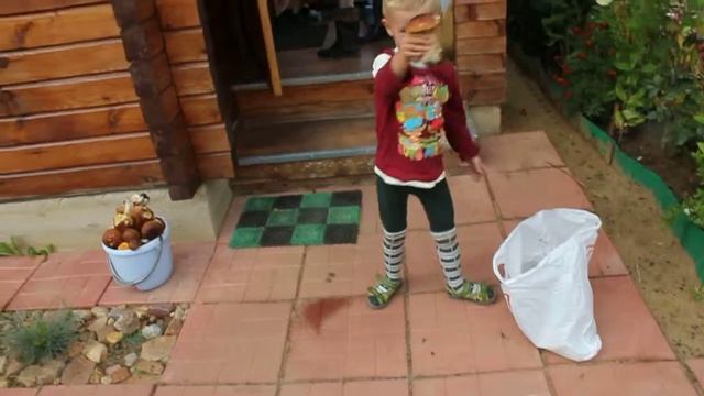 Ванька и Грибы