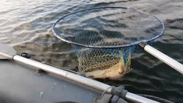 Осенний жор щуки смотреть онлайн