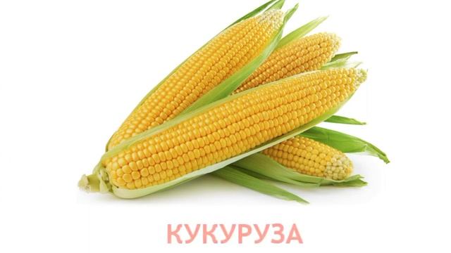 Карточки Домана Часть 7 Овощи!