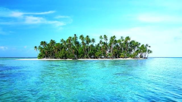 Fow Kimbe (Perle Lama) смотреть онлайн