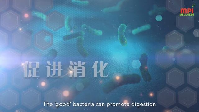OMNI 360 Production: MPI Wellness Probiotics Elderly смотреть онлайн