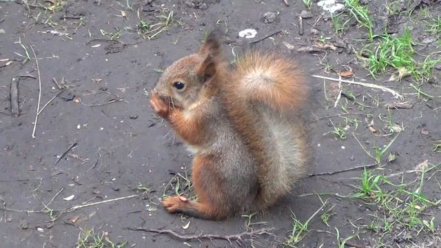 00129 смотреть онлайн