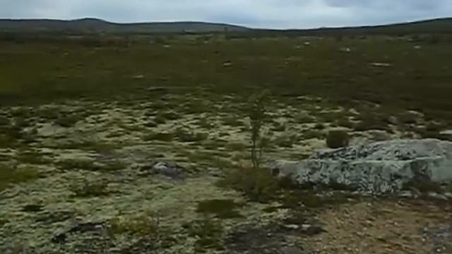 В Тундре. смотреть онлайн