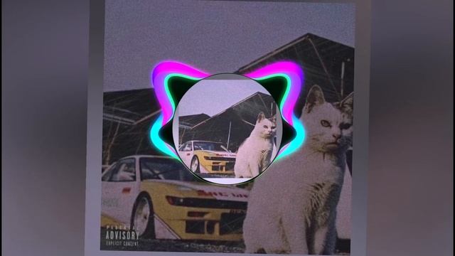Kitty Phonk :Speed Up (soviss) смотреть онлайн