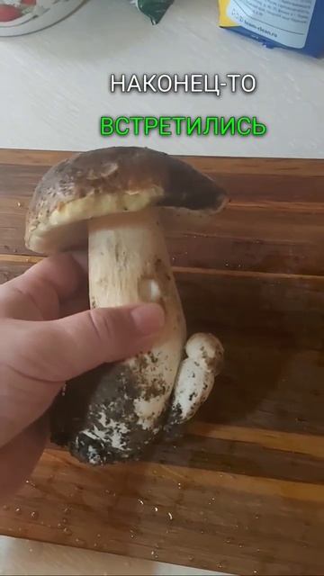 Всё о грибах. #shorts #юмор #грибы смотреть онлайн