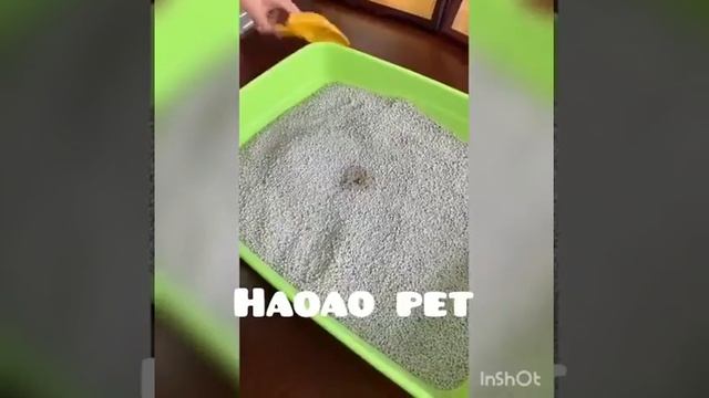 Bentonite cat litter detail test смотреть онлайн