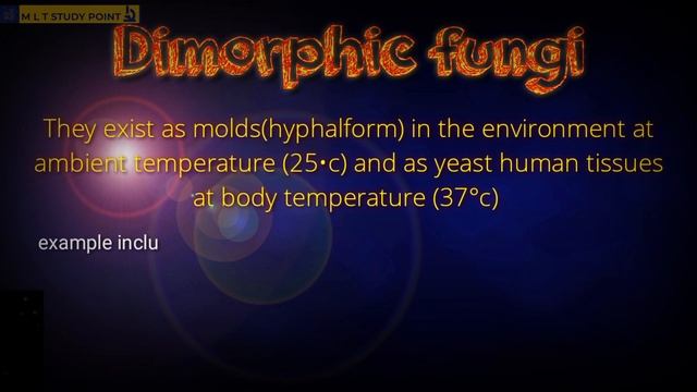 dimorphic fungi | mycology|mlt study point| смотреть онлайн