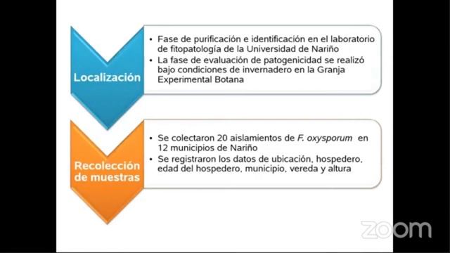 Resistencia a Fusarium Oxysporum en el cultivo de lulo. David Esteban Duarte I.A. M.SC смотреть онлайн