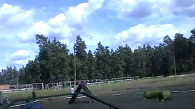 Толстопят А. и Грей смотреть онлайн