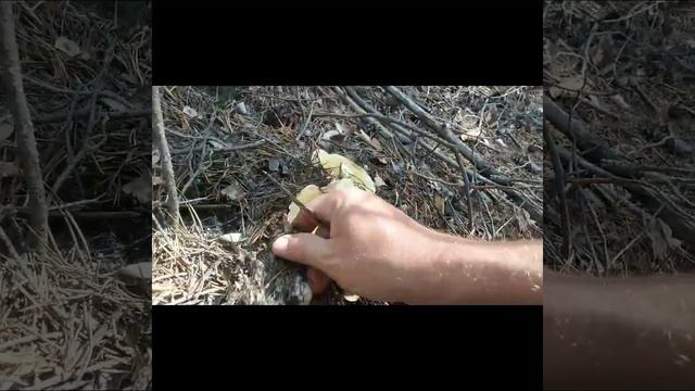 Тихая охота смотреть онлайн