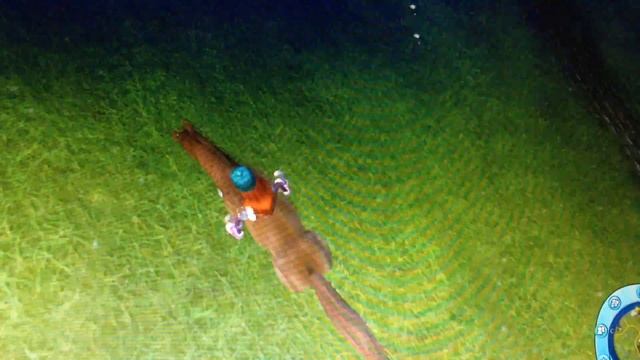 Дикая лошадь #5 смотреть онлайн