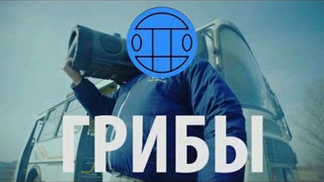 Грибы задом наперёд. смотреть онлайн