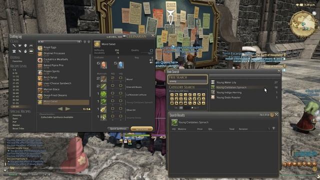 FFXIV 3.0 0776 Culinarian Quest Level 60 смотреть онлайн